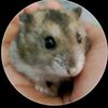 arja_44
