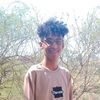user8088142004291