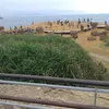 xincauvang7777777