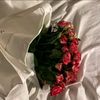 user8436131986173