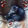 christine.foidl3