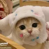 mayumiin16