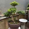 nguyenvanthuy3290
