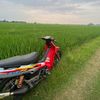 erle_541
