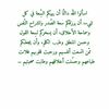abo_toove