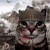 war_cat1