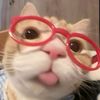 tiktok_on.amako_on.11