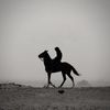 سَعيـد | ١٤٢٥ هـ