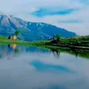 sumaya.galaly6