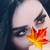 shahdokht_4d1