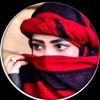 gulhussain313