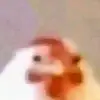 4khighqualitychicken