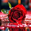ferari_mon8119