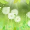 gocbinhyen_nganguyenqn