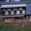 mike.mller54