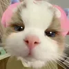 hejinu