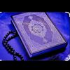hamza14942