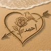 yasmin.ahmed8904