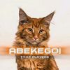 a.b.e.k.e.ff