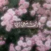 liya.amir5