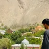 bedil032