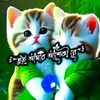 user76942887978704