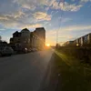 liziks.6
