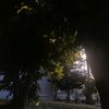 lara_lc678