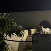 tehreem_241