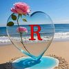 user57800877258085