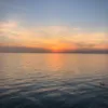 valerie_483