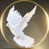 elsay_8