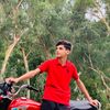 mian65341