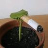 efolixqq