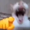 ph03n1x_7