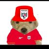 .....thiago_____79