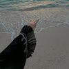 susu__363