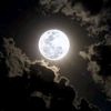 lunalove859