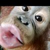 harnijr945