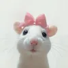 new_4_21