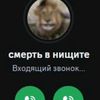 user8565802500756