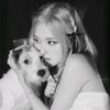 lily 𝖞𝖟✪