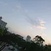 quynh_anh_083