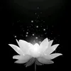 nguyentai9393