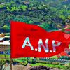 anplove24