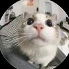 sofie_kocka154