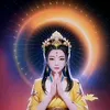 thanh.van824