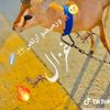user2930101439716