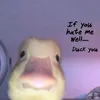 low_chick
