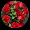 umarshahzad0890